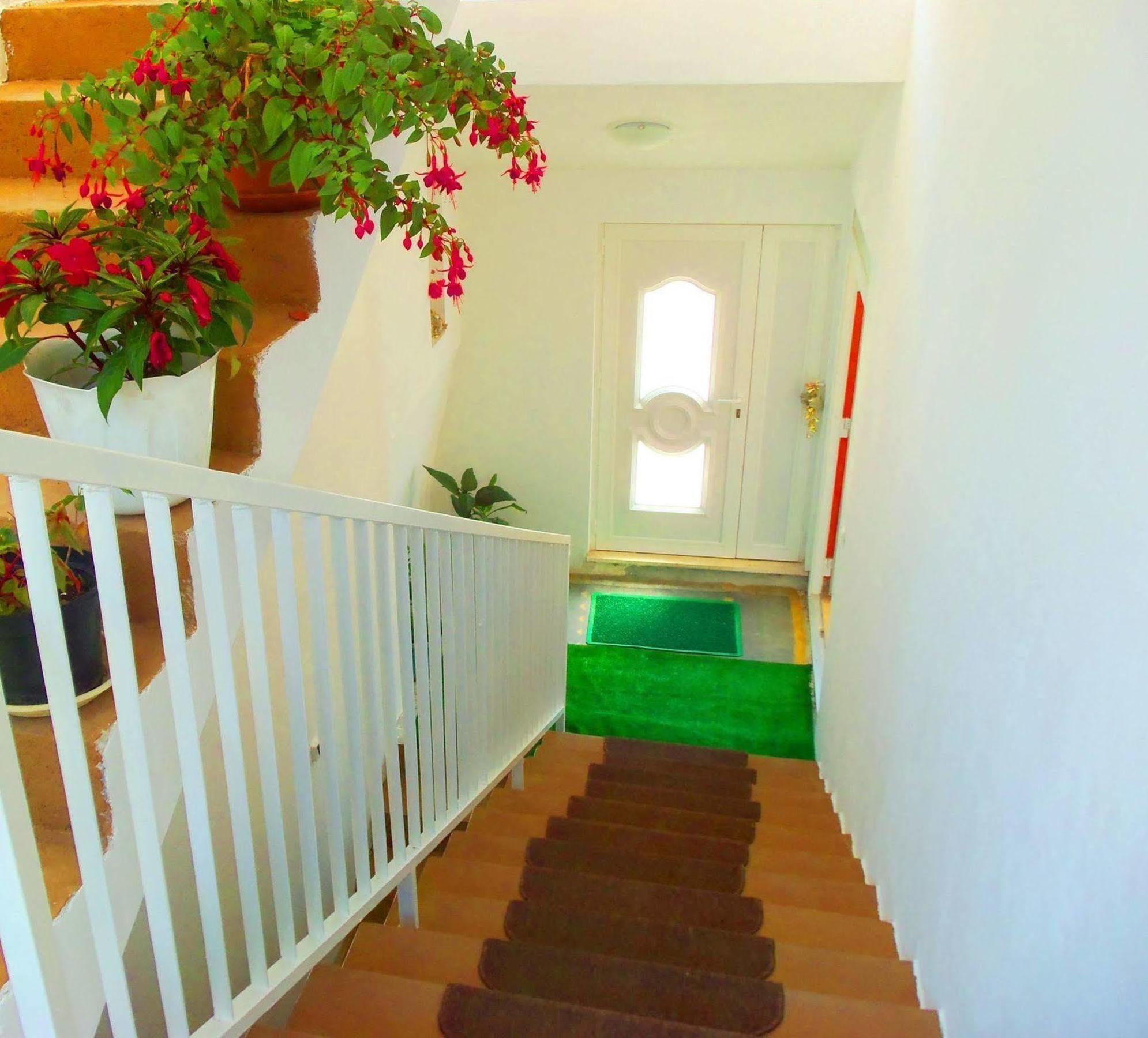 Guest House Kate 米利尼 外观 照片